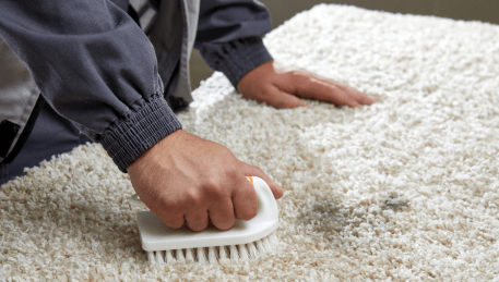 Professional Rug Cleaning Brookfield